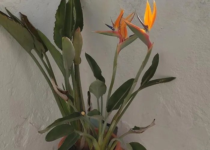 Atico En La Candelaria * 카디스